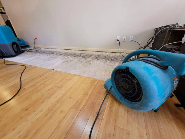 Professional Water Extraction technician working in Northfield, OH